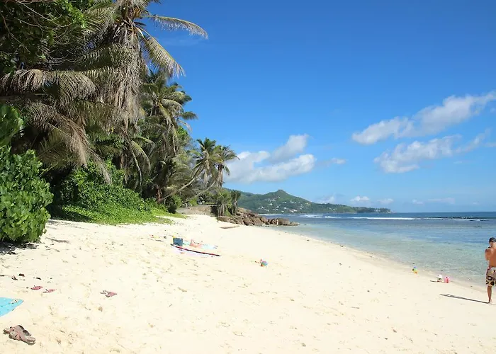 Chalet Surfers Self Catering *