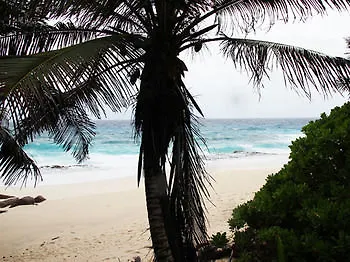 Surfers Self Catering Chalet *