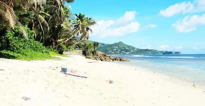 Chalet Surfers Self Catering *