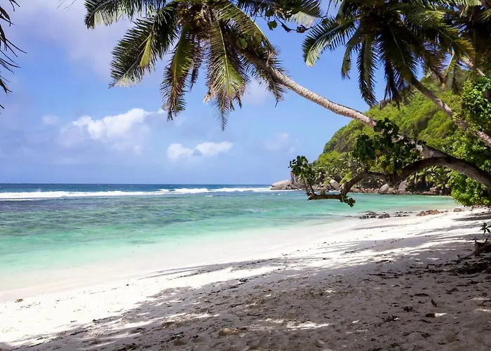 Surfers Self Catering